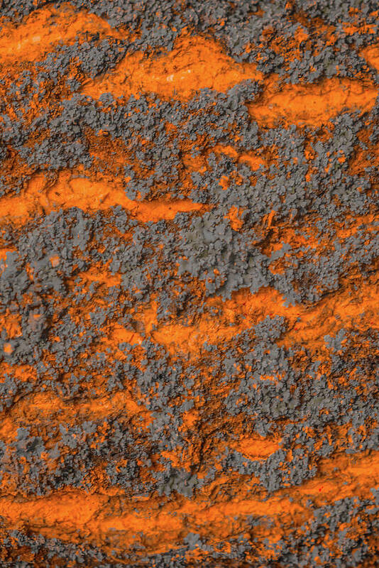 Macro Poster featuring the photograph Macro Fire Bark Abstract by Bruce Pritchett