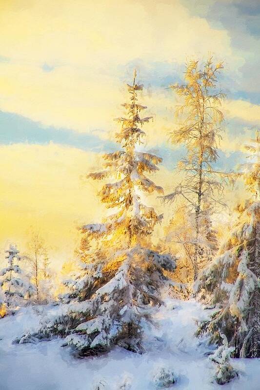 Magical Winter Landscape Poster featuring the photograph Magical winter landscape by Rose-Maries Pictures