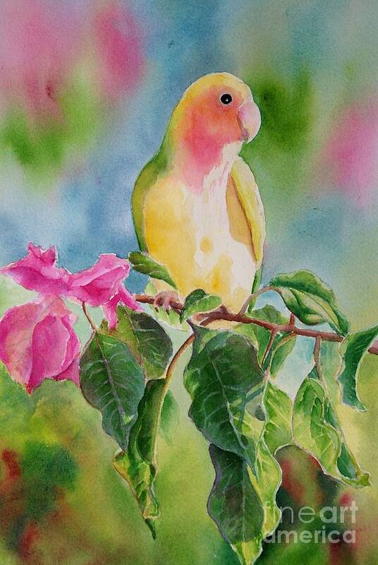 Love Bird Poster featuring the painting Mango in the Bougainvillea by Petra Burgmann