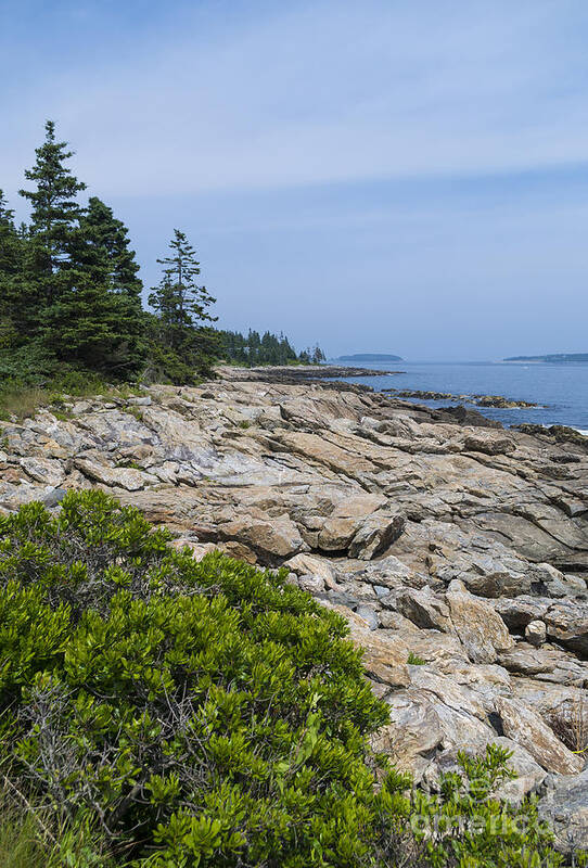 Rocky Shore Poster featuring the photograph Marshall Ledge looking downeast by Patrick Fennell