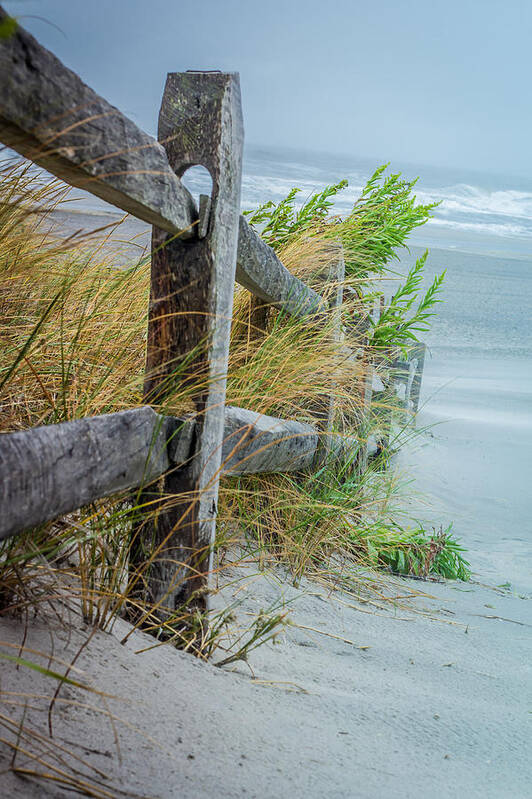 Landscape Poster featuring the photograph Marvel of An Ordinary Fence by Patrice Zinck