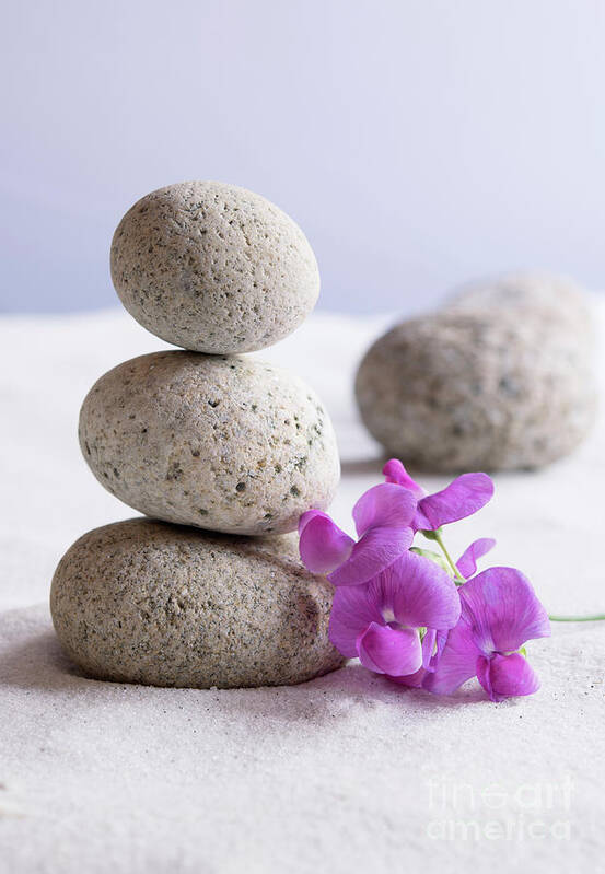 Meditation Poster featuring the photograph Meditation Stones Pink Flowers On White Sand by Michelle Cyr