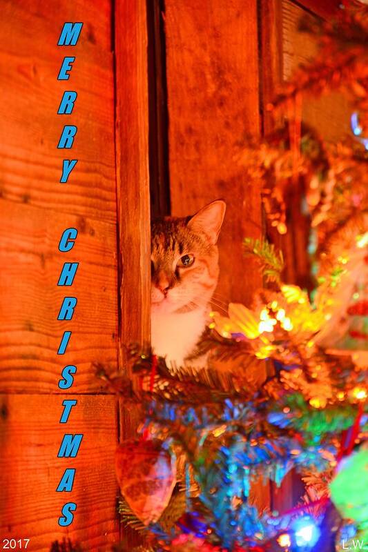 Merry Christmas Waiting For Santa Poster featuring the photograph Merry Christmas Waiting For Santa by Lisa Wooten