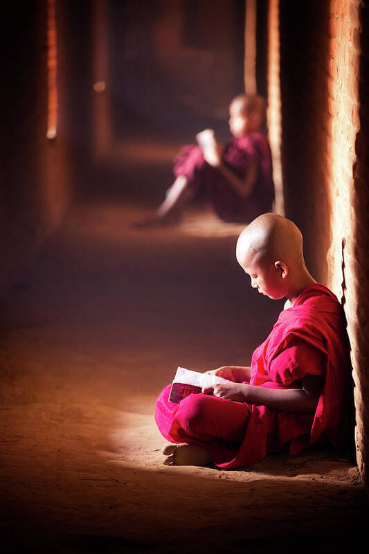 Myanmar Poster featuring the photograph Monk study in temple by Anek Suwannaphoom