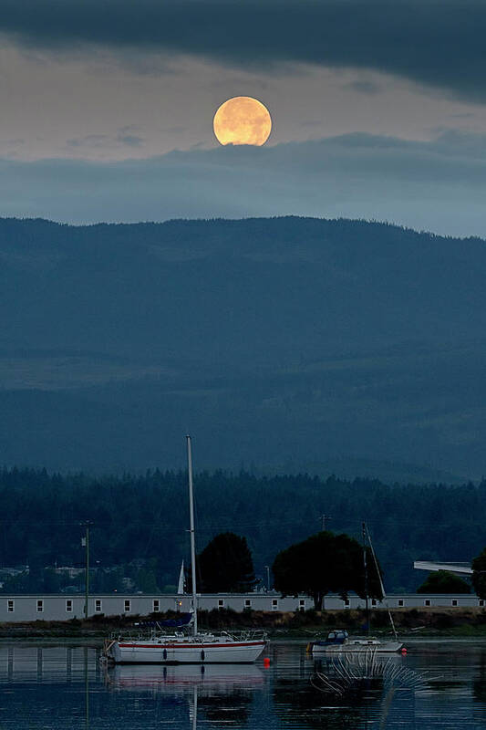 Blue Heron Comox British Columbia Pacific Ocean Canada Birds Wildlife. Ocean West Coast Miracle Beach Bald Eagle Moon Poster featuring the photograph Moon Over The Spit by Edward Kovalsky