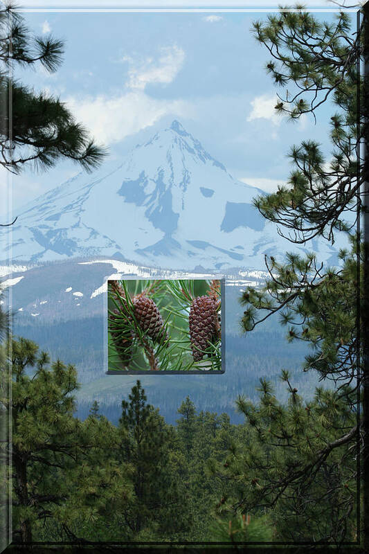 Mount Jefferson Poster featuring the photograph Mount Jefferson With Pines by Laddie Halupa