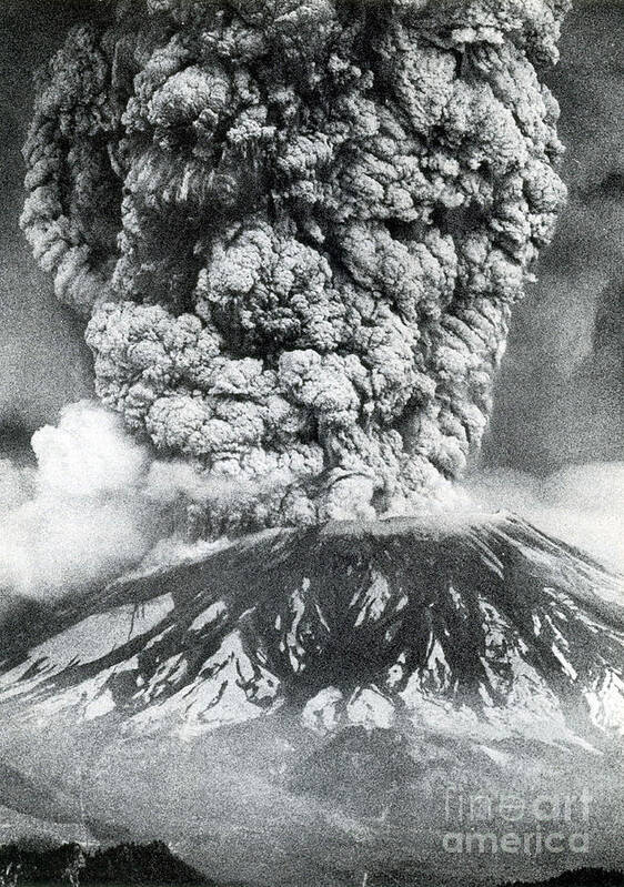 Science Poster featuring the photograph Mount St. Helens Eruption, 1980 by Science Source