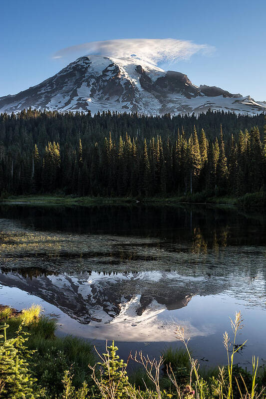 Mt Poster featuring the photograph MT Rainier in Reflections Lake at Sunrise by Rob Green