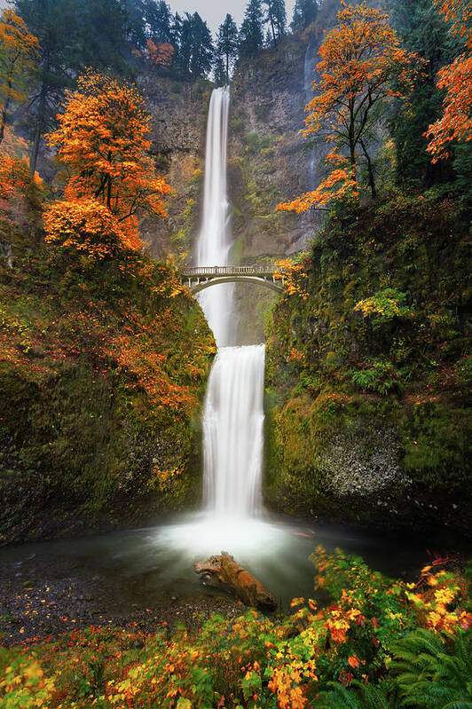 Oregon Poster featuring the photograph Multnomah Falls in Autumn colors by William Lee