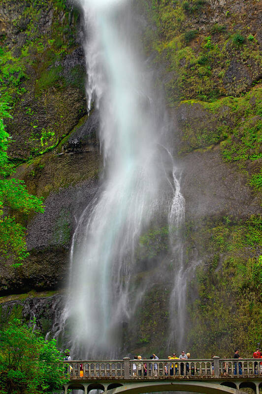 Waterfalls Poster featuring the photograph Multnomah Falls by SC Heffner