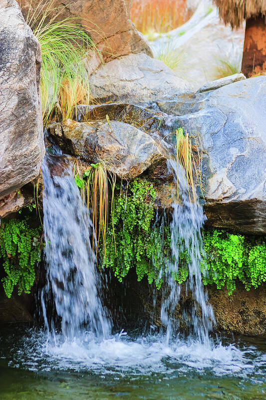 Waterfall Poster featuring the photograph Murray Canon Tranquility by Scott Campbell