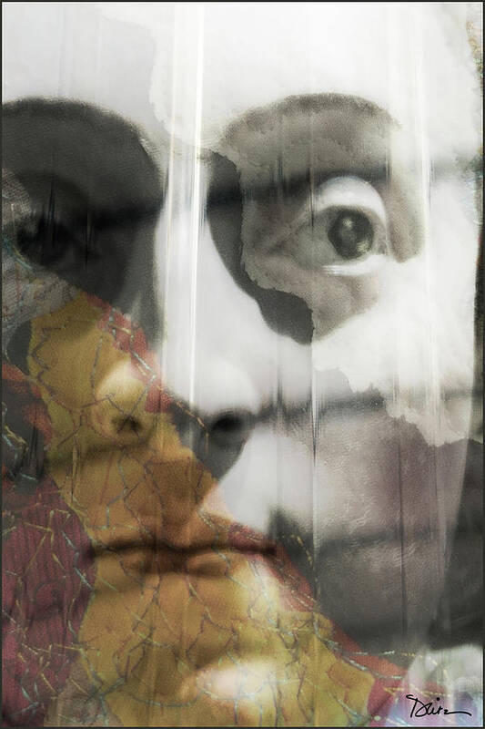 Face Poster featuring the photograph Mysterious by Peggy Dietz