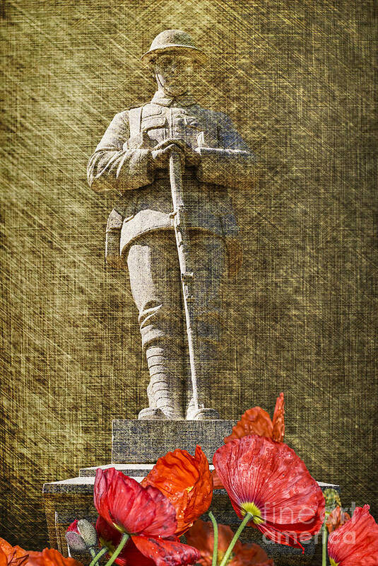 Poppies; Never Forgotten; We Will Remember Them; Bargoed War Memorial; War Memorial; Bargoed; Rhymney Valley; Wales; United Kingdom; War; Soldier; Cenotaph; Remember; Remembrance; Memorial; Texture; Sad; Sadness; Poignant; Poignancy; Remembrance Day; 11 November; November 11; Fallen Heroes; Fallen Comrades; Fallen; Death; Death In War; Armistice Day; Armistice; World War One; World War Two. Soldiers; Fallen Soldiers; Tommy Poster featuring the photograph Never Forgotten by Steve Purnell