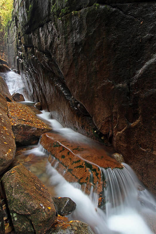 Flume Gorge Poster featuring the photograph New Hampshire Flume Gorge by Juergen Roth