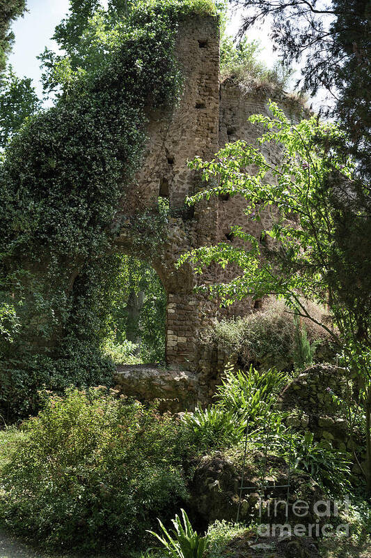 Ninfa Poster featuring the photograph Ninfa Garden, Rome Italy 2 by Perry Rodriguez