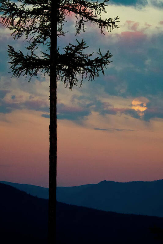 Sunset Poster featuring the photograph Not Quite Clearcut by Albert Seger