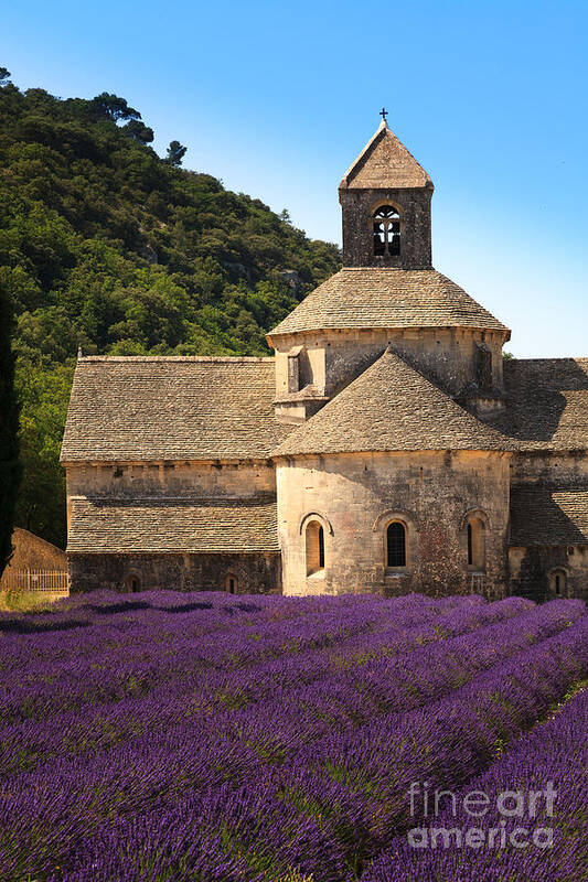 Abbaye Notre-dame De Senanque Poster featuring the photograph Notre-Dame de Senanque Abbey Provence France by Peter Noyce