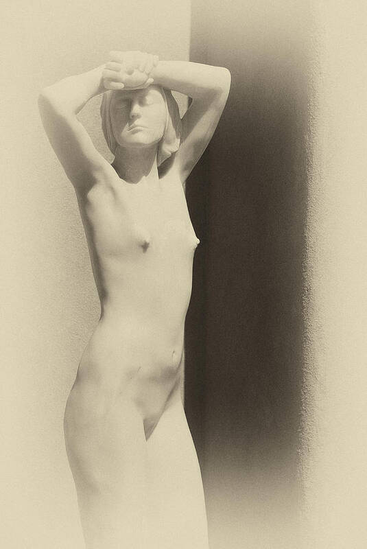 Art Poster featuring the photograph Nude by Carolyn D'Alessandro