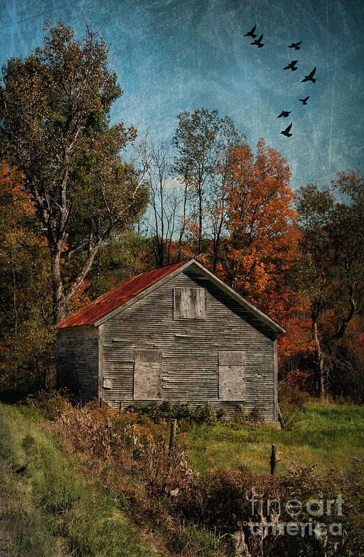 Deborah Benoit Poster featuring the photograph Old and Abandoned in Vermont by Deborah Benoit