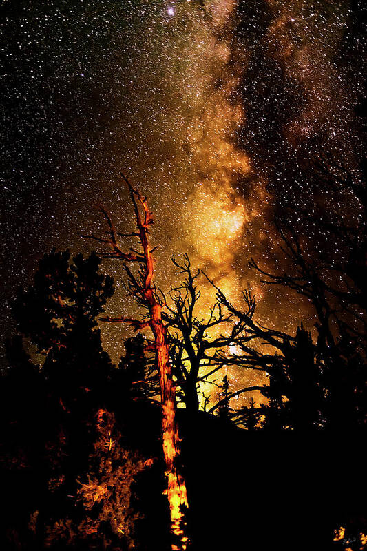 Milky Way Poster featuring the photograph Old and Older by Greg Norrell