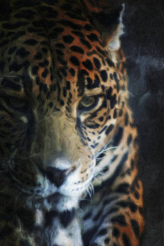 Tiger Poster featuring the photograph On The Prowl by Trish Tritz