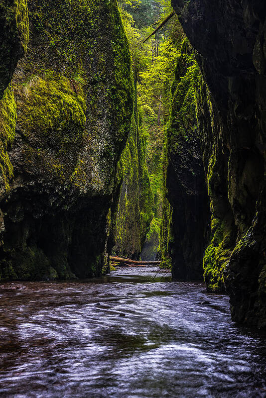 Oneonta Gorge Poster featuring the photograph Oneonta Gorge by Chuck Jason