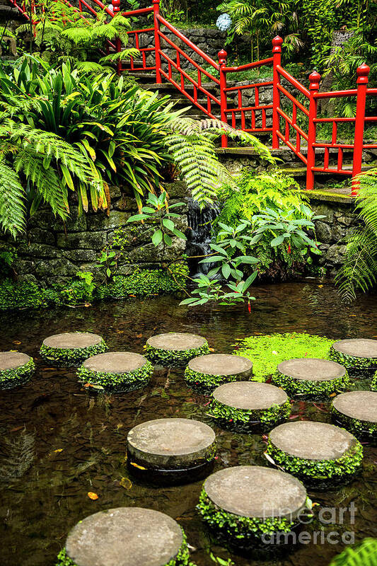 Tropical Poster featuring the photograph Oriental Garden Stepping Stones by Brenda Kean