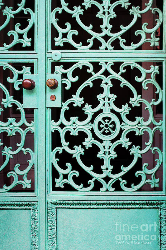 Architecture Poster featuring the photograph Ornate Doors by Todd Blanchard