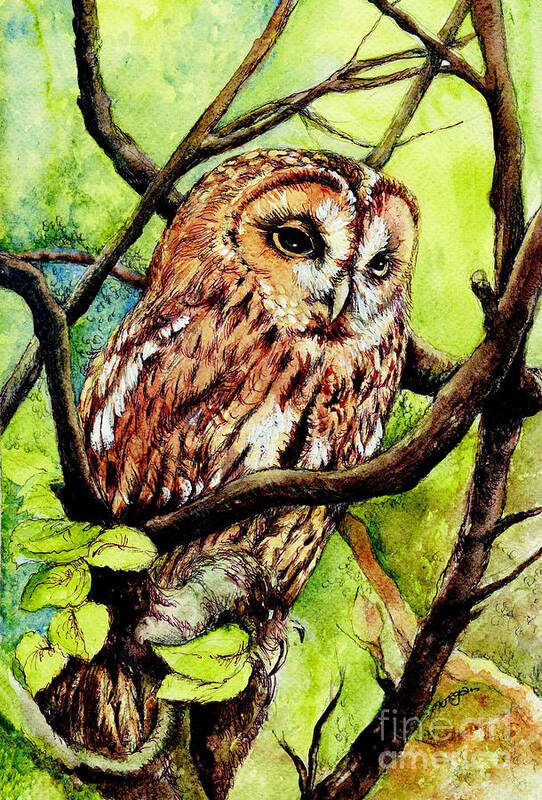 Bird Poster featuring the painting Owl from Butterfingers and Secrets by Morgan Fitzsimons