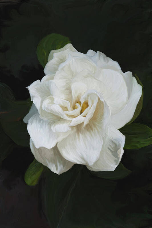 Gardenia Poster featuring the photograph Painted Gardenia by Phyllis Denton