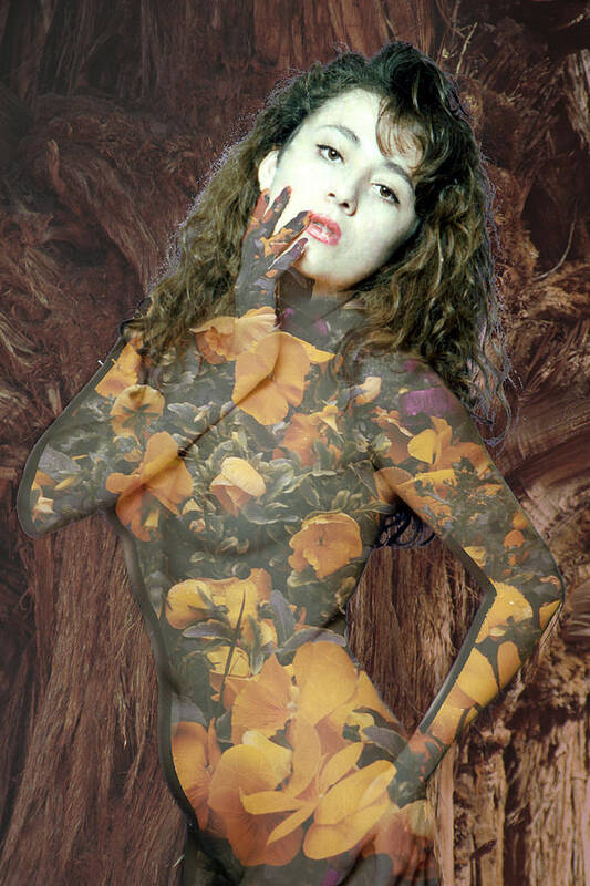Model Poster featuring the photograph Painted Lady by Richard Henne