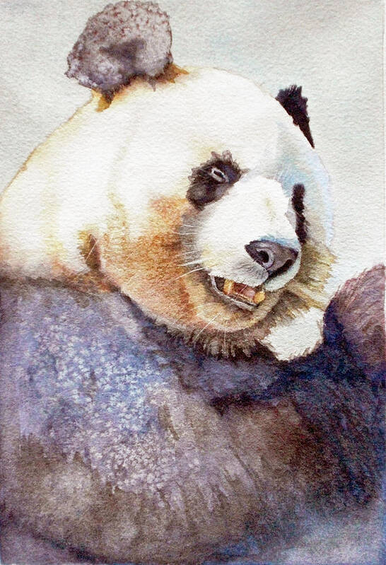 Panda Poster featuring the painting Panda Eating by Bonnie Rinier