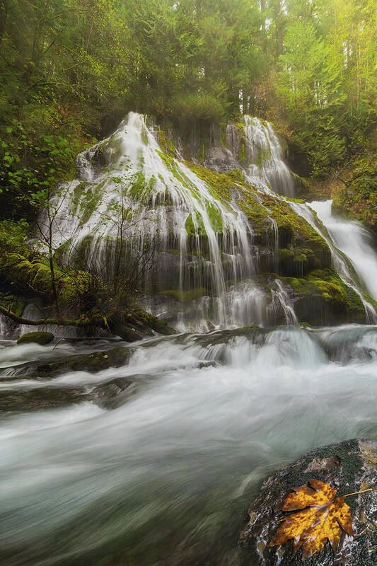 Panther Creek Poster featuring the photograph Panther Creek Falls in Fall Season by David Gn