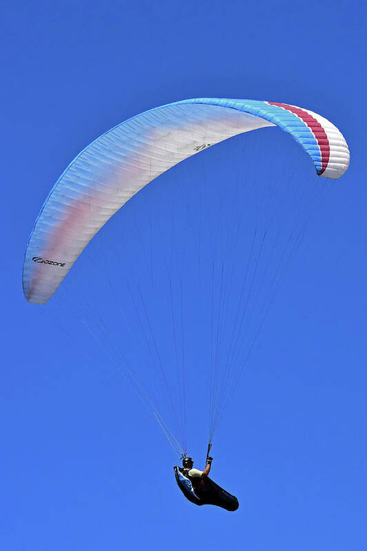 Paragliding Poster featuring the photograph Paragliding No. 279-1 by Sandy Taylor