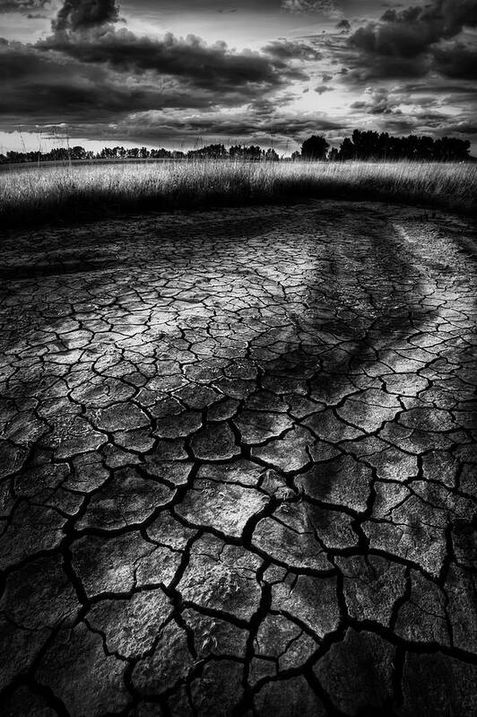 Drought Poster featuring the photograph Parched Prairie by Dan Jurak
