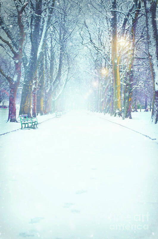 Avenue Poster featuring the photograph Park Avenue In Winter With Snow by Lee Avison