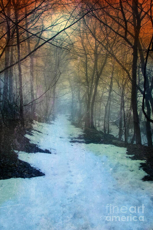 Path Poster featuring the photograph Path Through the Woods in Winter at Sunset by Jill Battaglia