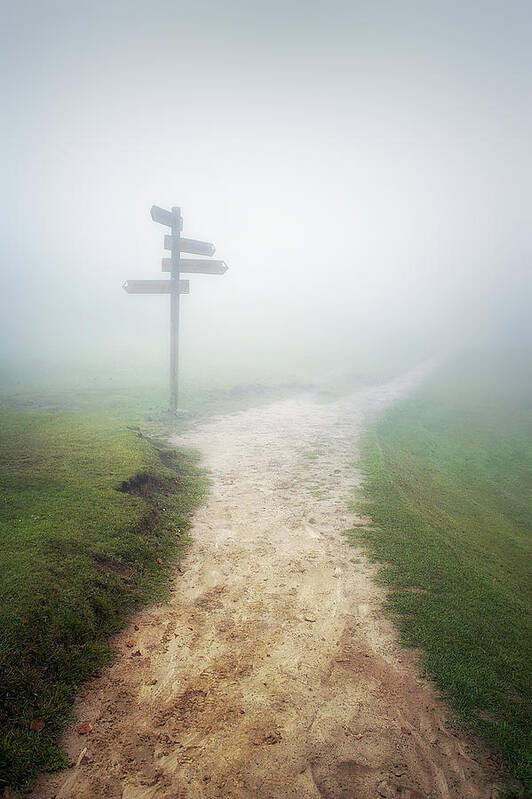 Signpost Poster featuring the photograph Path to somewhere by Mikel Martinez de Osaba