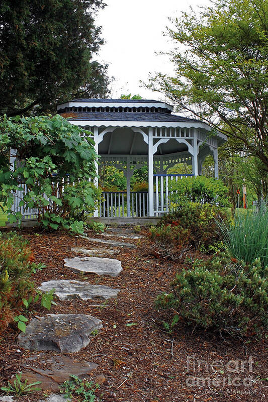 Landscape Poster featuring the photograph Path to the Gazebo by Todd Blanchard