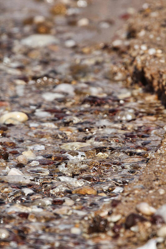 Pebbles Poster featuring the photograph Pebble Beach by Douglas Barnard