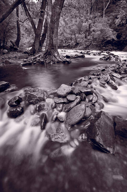 Great Poster featuring the photograph Pigeon Forge River Great Smoky Mountains BW by Steve Gadomski