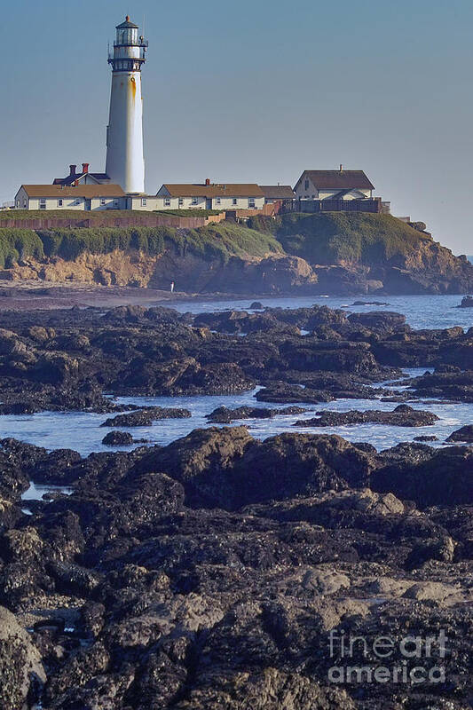 Pigeon Point Poster featuring the photograph Pigeon Point Lighthouse Portrait California by Kimberly Blom-Roemer
