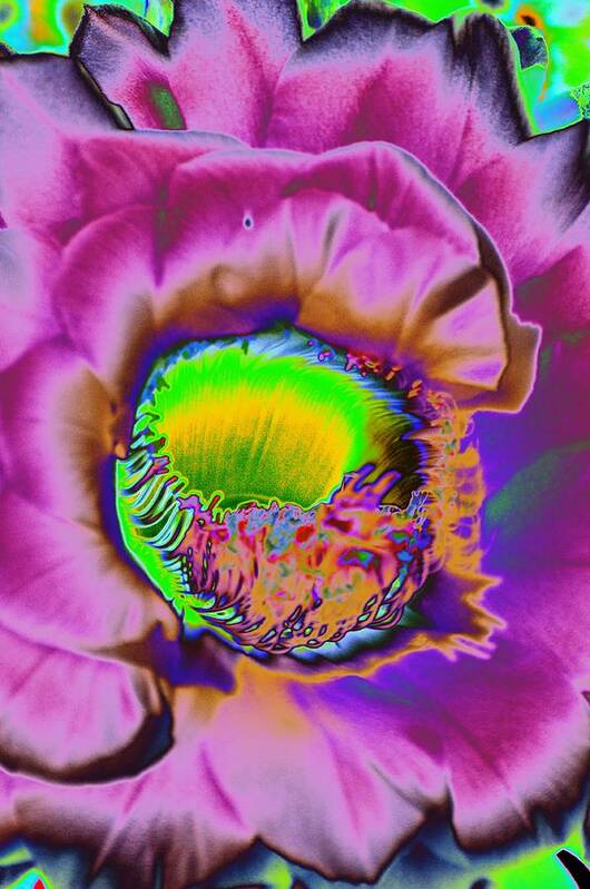 Cirrus Poster featuring the photograph Pink Psychedelic Cirrus by Richard Henne