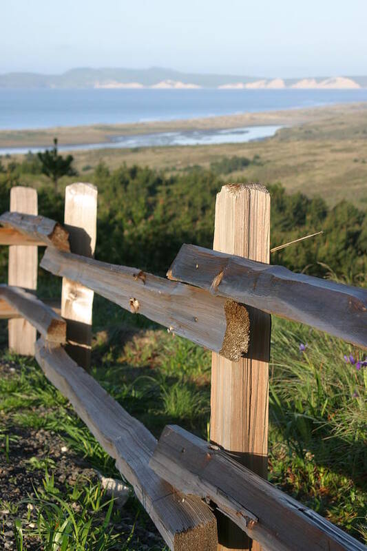 Point Reyes National Seashore Poster featuring the photograph Point Reyes Fence by Jeff Floyd CA