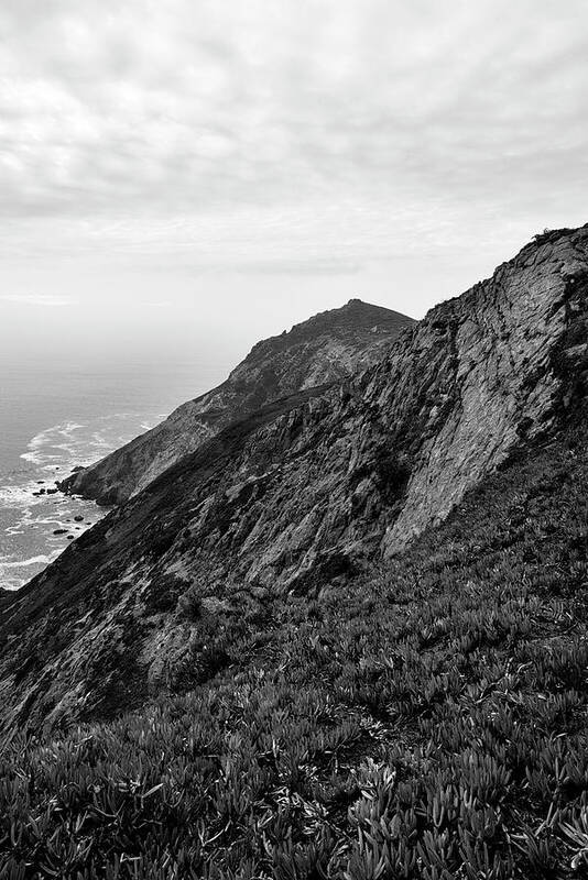 Point Poster featuring the photograph Point Reyes II BW by David Gordon