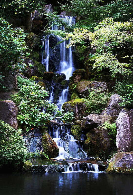Zen Poster featuring the photograph Pond Waterfall by Anthony Jones