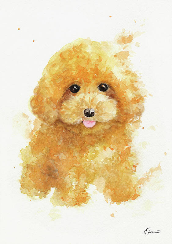 https://render.fineartamerica.com/images/rendered/default/poster/5.5/8/break/images/artworkimages/medium/1/poodle-puppy-kathleen-wong.jpg