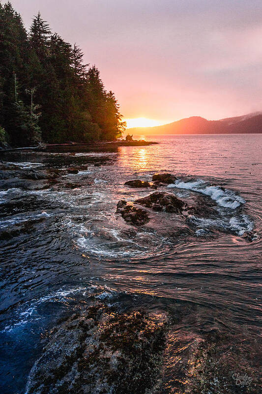 Scenery Poster featuring the photograph Port Renfrew Evening by Claude Dalley