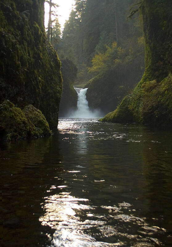 Landscape Poster featuring the photograph Punchbowl Falls by Richard Ferguson