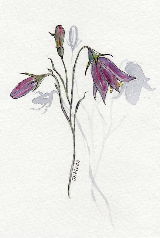 Purple Poster featuring the painting Purple Harebell by Julie Maas